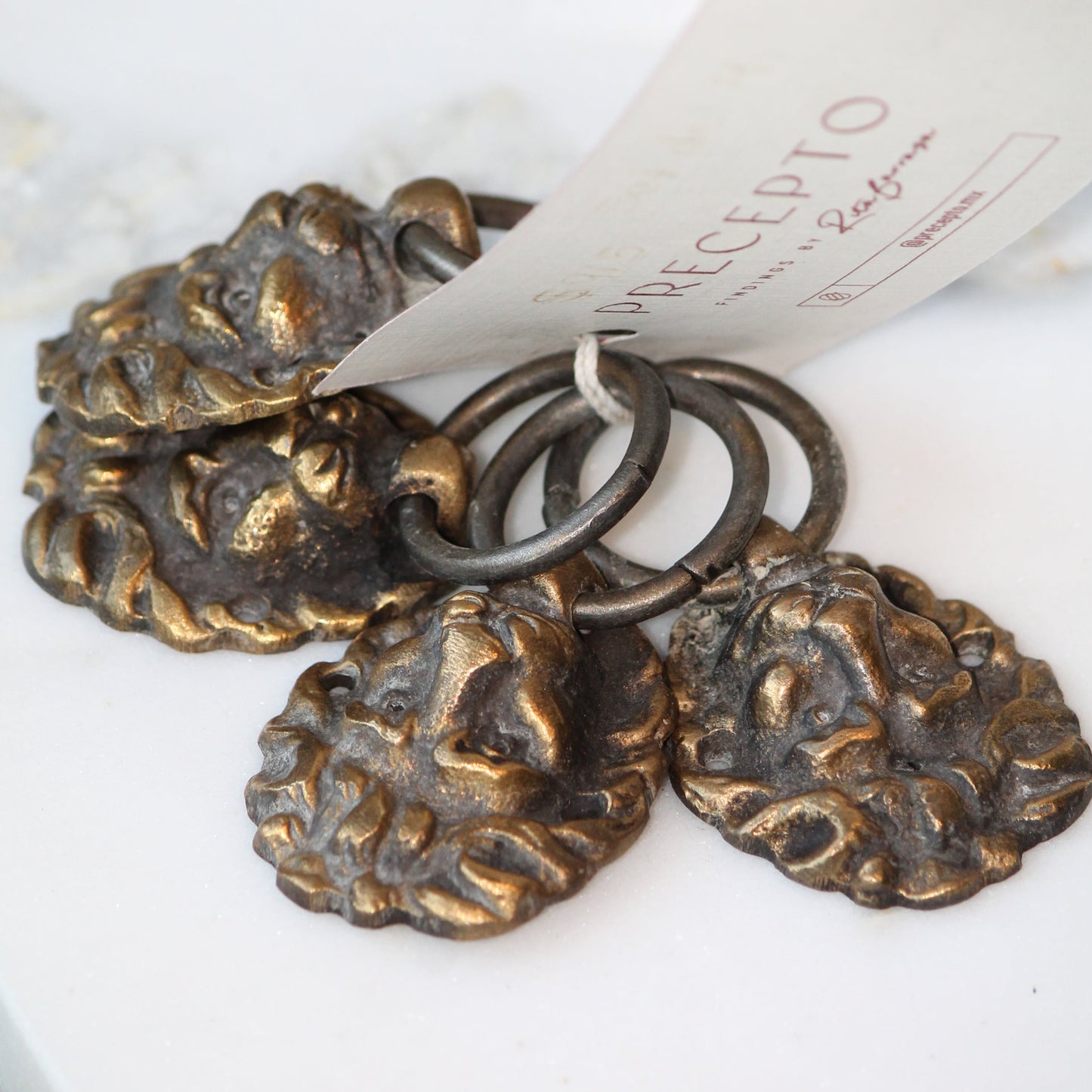 Jaladeras de leones